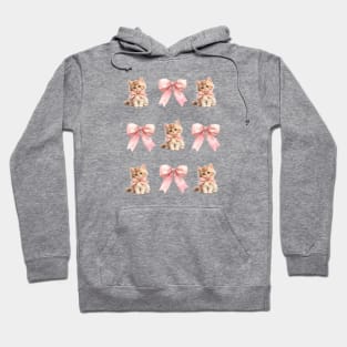 Coquette Kittens Pink Bows and Cats Hoodie